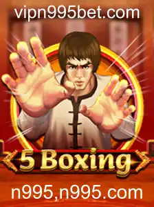 Descubra o Empolgante Mundo de 5Boxing