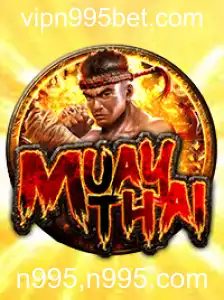 Explorando o Mundo Competitivo do MuayThai: Regras e Atualizações Recentes